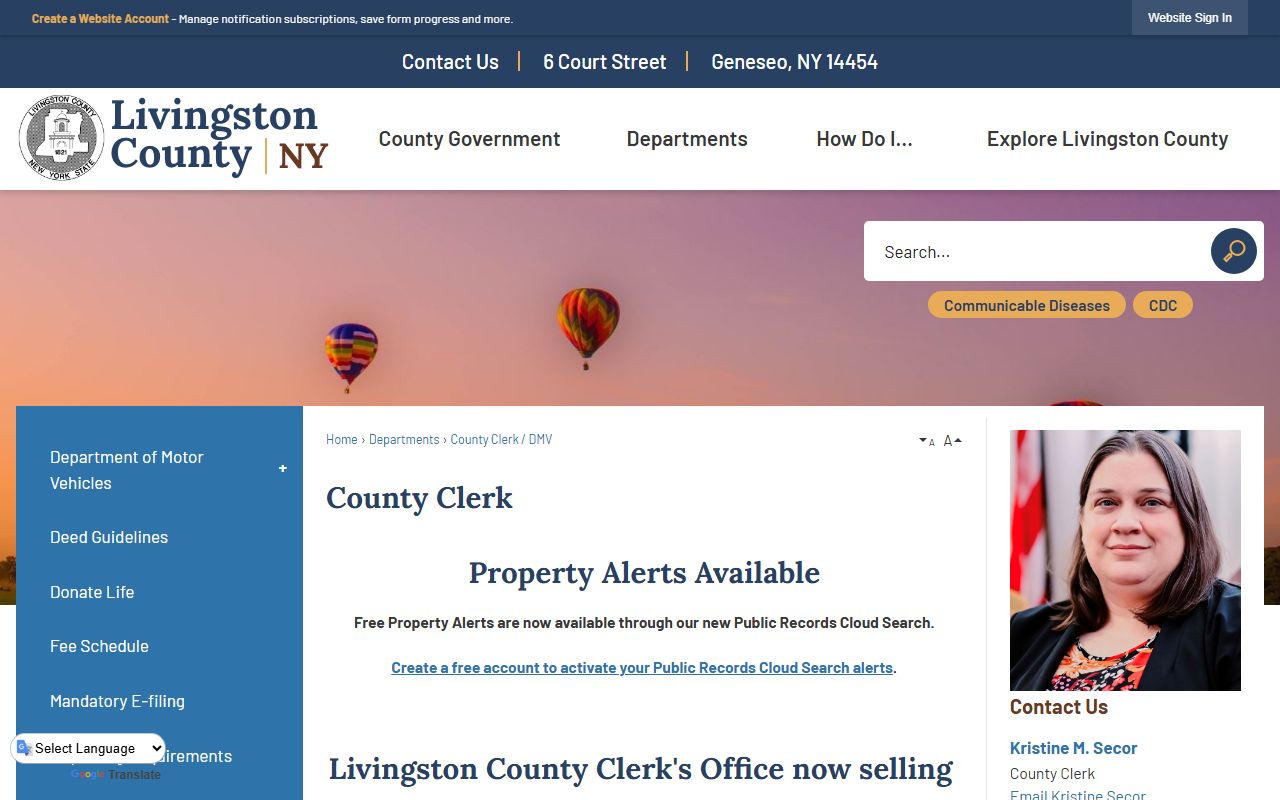 Livingston County court records after arrest County Clerk access rules